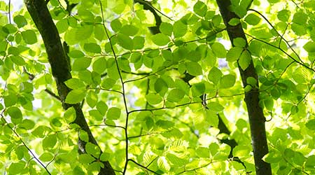 La ville de Valence engagée dans la sobriété La ville de Valence engagée dans la sobriété