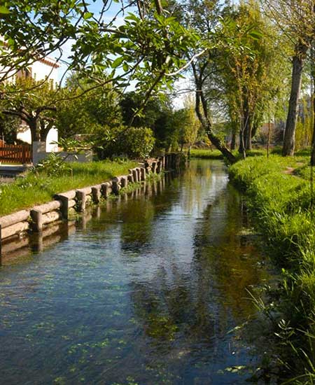 Végétaliser encore davantage et désimperméabiliser durablement à Valence Végétaliser encore davantage et désimperméabiliser durablement à Valence